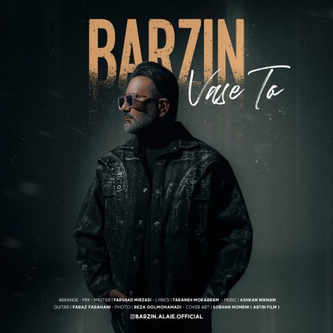 دانلود آهنگ برزین واسه تو دانلود آهنگ برزین واسه تو